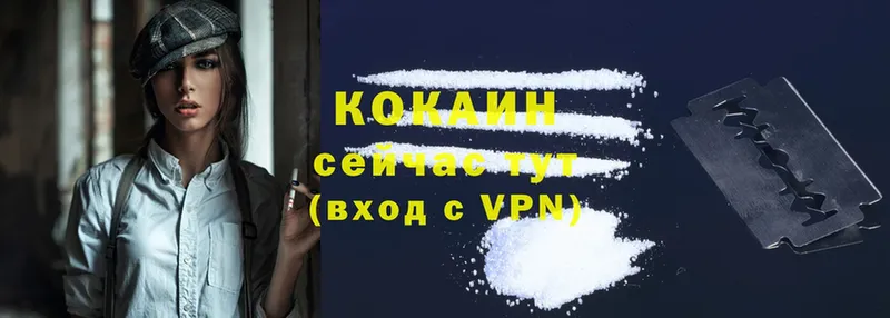 КОКАИН FishScale  магазин продажи наркотиков  Кызыл 